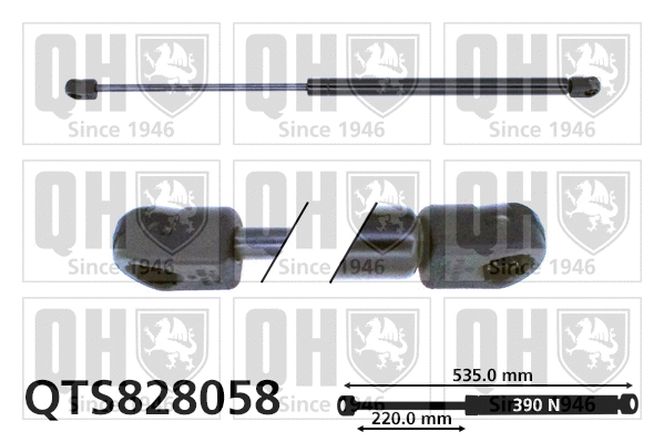 Vérin de hayon, de coffre QUINTON HAZELL QTS828058