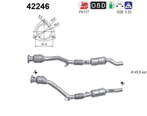 Catalyseur AS 42246