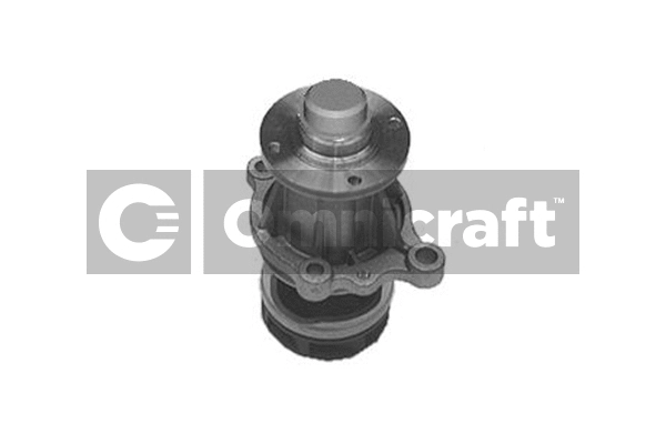 Pompe à eau, refroidissement du moteur Omnicraft 2317064