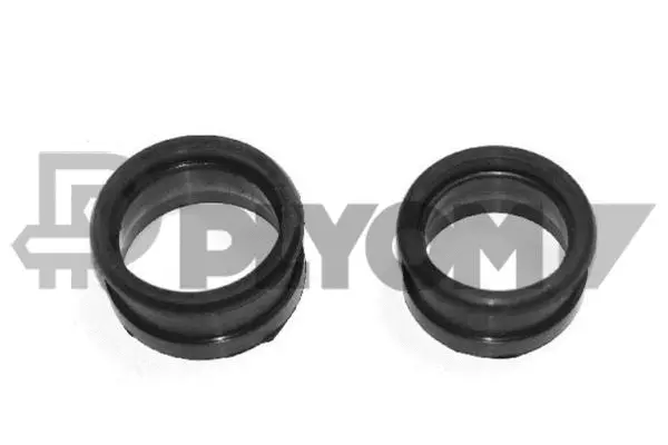Gaine de suralimentation PLYOM P751868