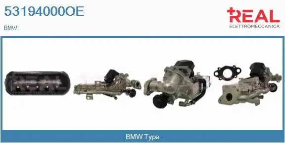 Module-EGR REAL 53194000OE