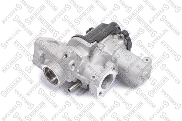 Vanne EGR STELLOX 01-25132-SX