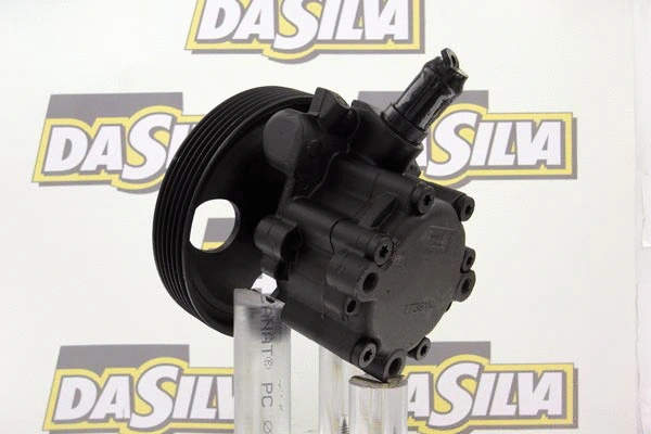 Pompe hydraulique, direction DA SILVA DP3156