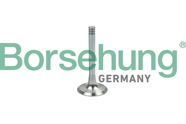Soupape d'émission Borsehung B19002