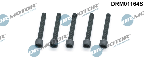 Vis, support pour contrôleur d'injecteurs Dr.Motor Automotive DRM01164S