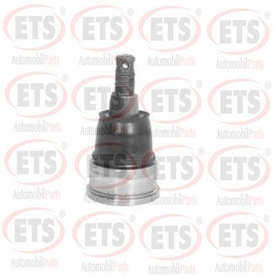 Rotule de suspension ETS 07.BJ.191