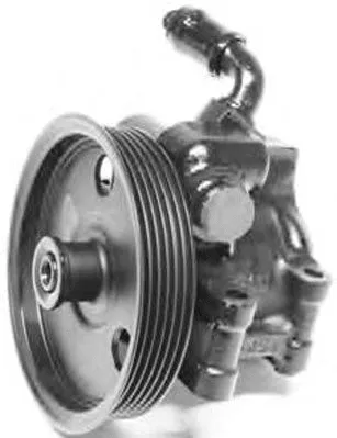 Pompe hydraulique, direction GENERAL RICAMBI PI1196