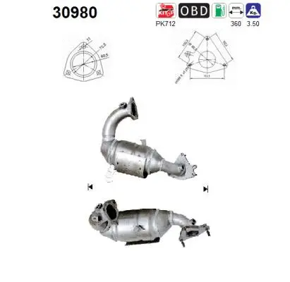 Catalyseur AS 30980