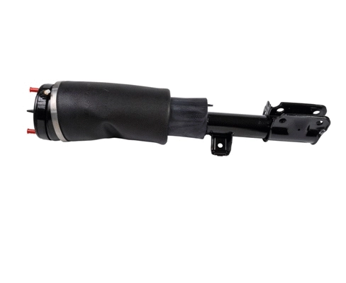 Armortisseur pneumatique DUNLOP DAS10112