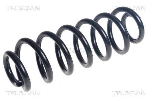 Ressort de suspension TRISCAN 8750 29510