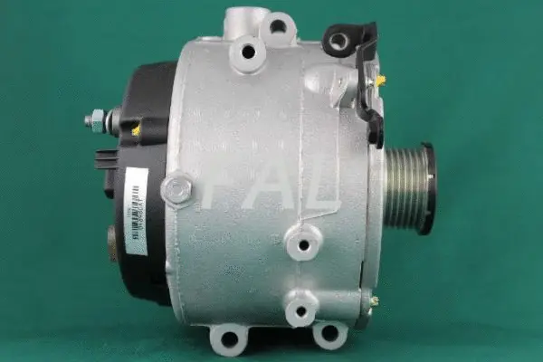 Alternateur FAL Anlasser- und Lichtmaschinenservice F003126/2
