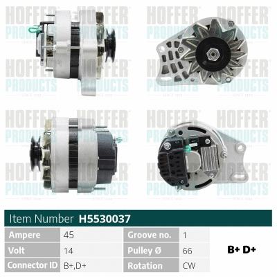 Alternateur HOFFER H5530037