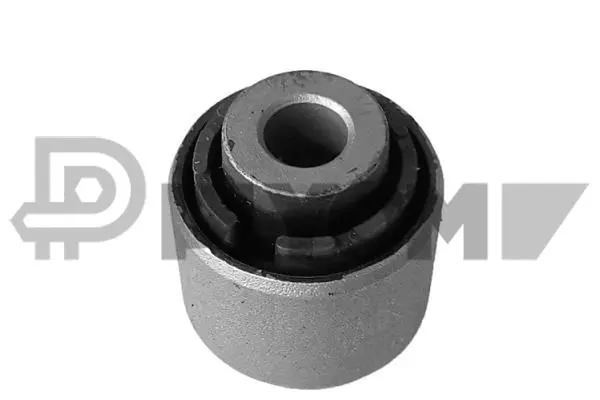 Suspension, corps de l'essieu PLYOM P759560