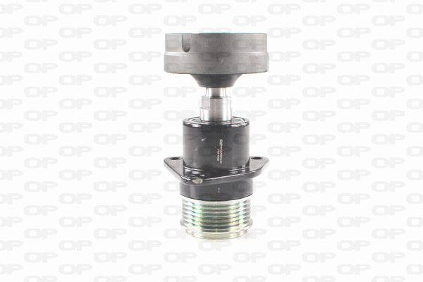 Poulie roue libre, alternateur OPEN PARTS ACA3012.00