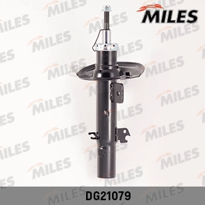 Amortisseur MILES DG21079
