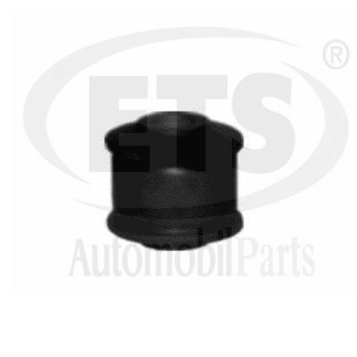 Suspension, bras de liaison ETS 06.SB.518