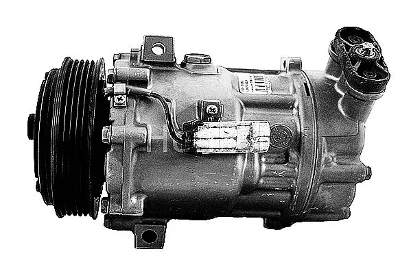 Compresseur, climatisation Henkel Parts 7110093R