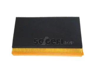 Filtre à air FRAM CA10198