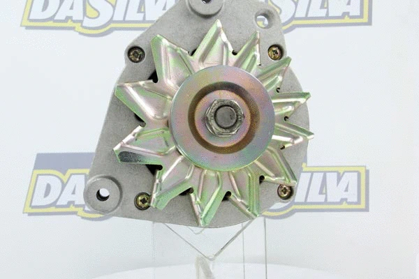 Alternateur DA SILVA 010132