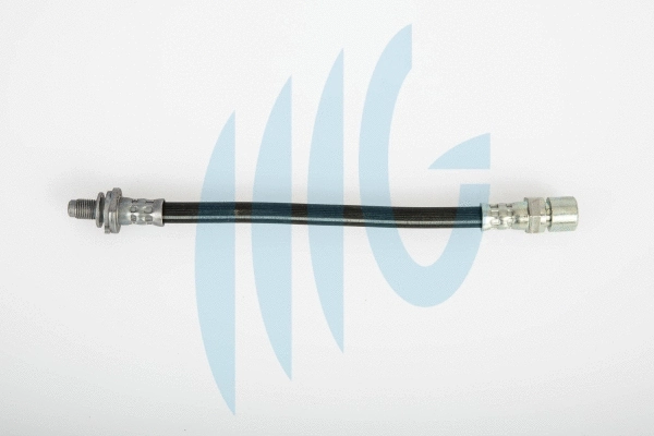 Flexible de frein RICAMBIFLEX GM 02360490