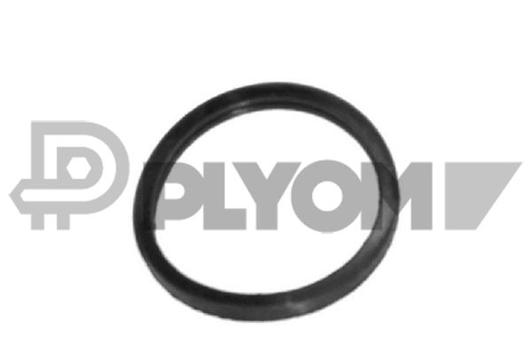 Joint, thermostat PLYOM P952039