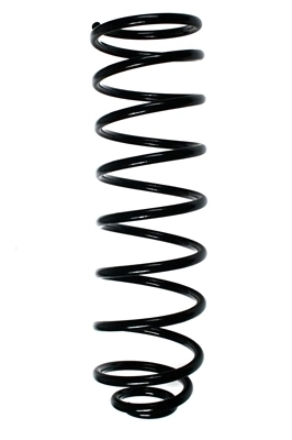 Ressort de suspension SPIDAN 49462