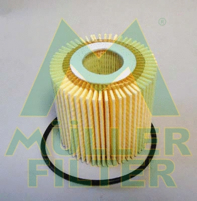 Filtre à huile MULLER FILTER FOP381