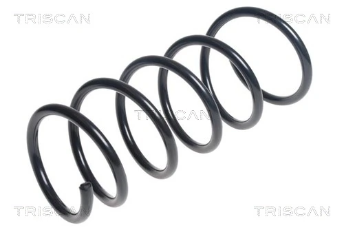 Ressort de suspension TRISCAN 8750 25111