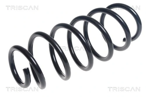 Ressort de suspension TRISCAN 8750 24197