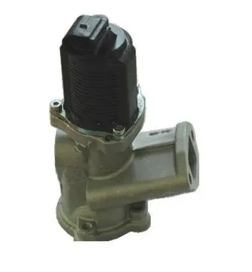 Vanne EGR ASSO 70.0144