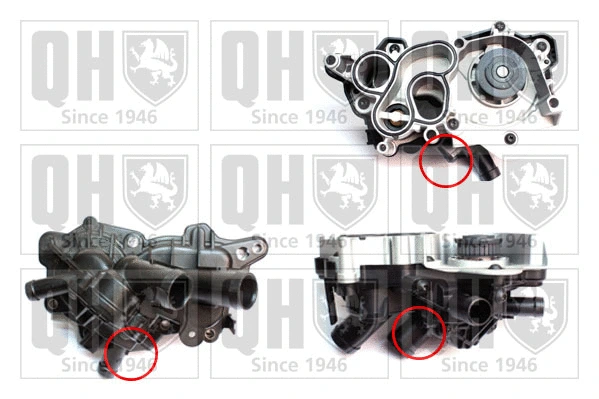 Pompe à eau, refroidissement du moteur QUINTON HAZELL QCP3863BH
