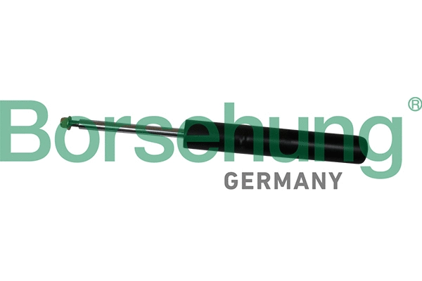 Amortisseur Borsehung B19275