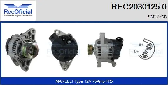 Alternateur RECOFICIAL REC2030125.0