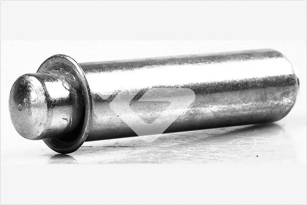 Poulie de tension, courroie crantée HUTCHINSON HTG 421