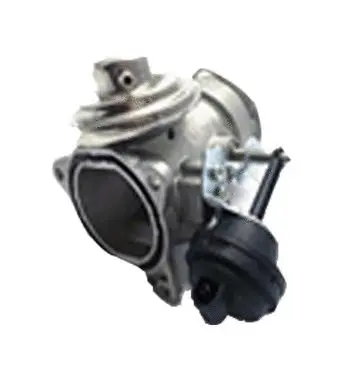 Vanne EGR ASSO 70.0028