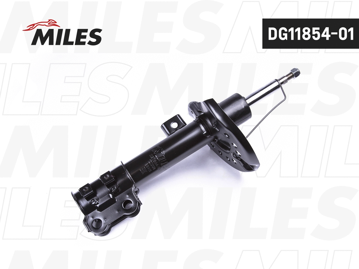 Amortisseur MILES DG11854-01