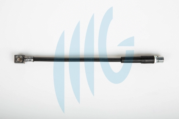 Flexible de frein RICAMBIFLEX GM 02360473