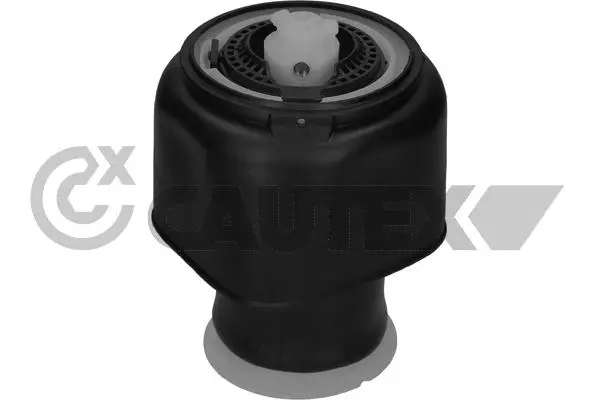 Ressort pneumatique, châssis CAUTEX 753277