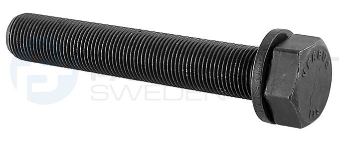 Vis de poulie Professional Parts 21436595