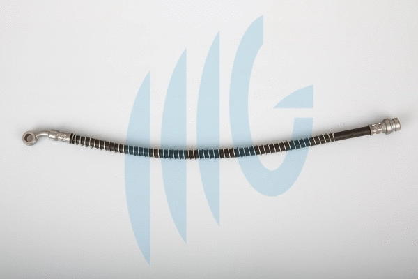 Flexible de frein RICAMBIFLEX GM 02160852