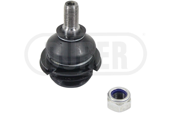Rotule de barre de connexion DÜRER ROTSUS615