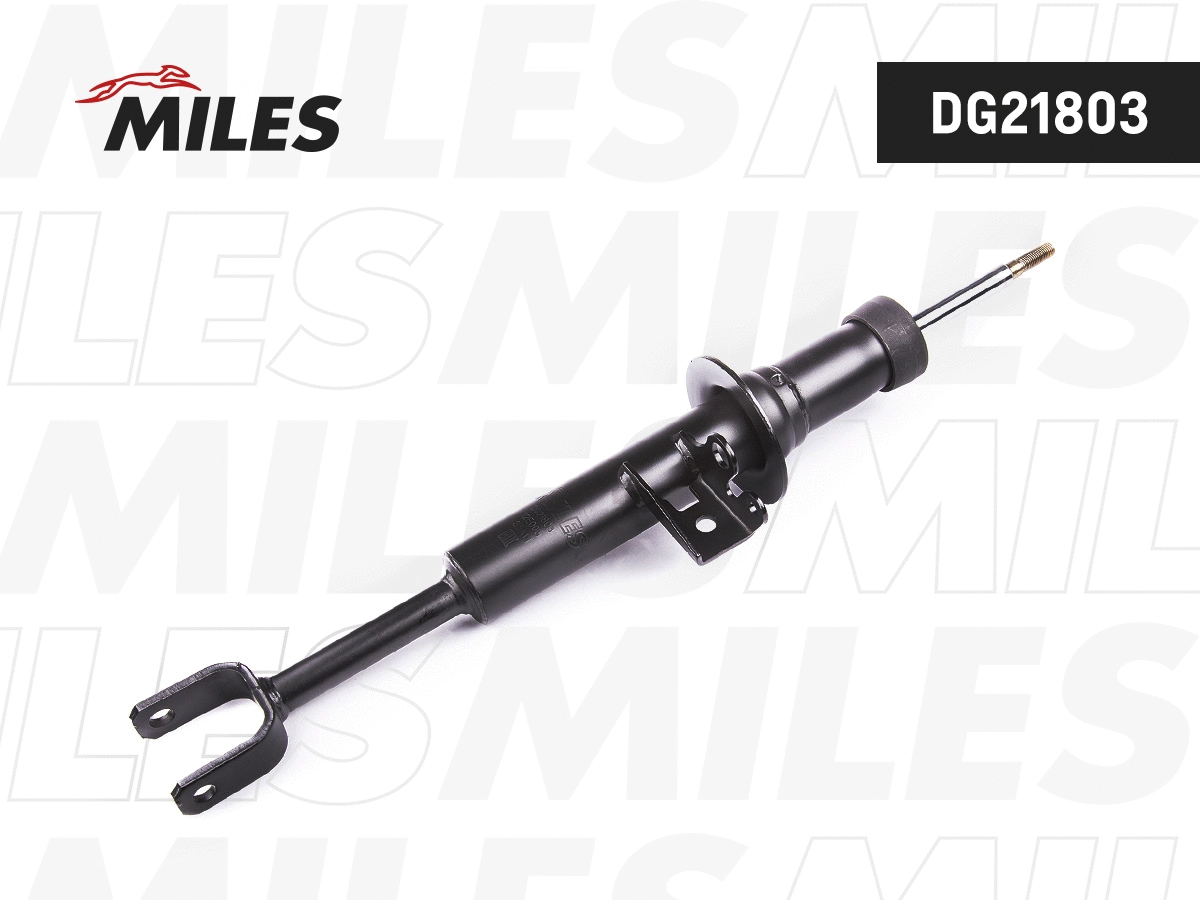 Amortisseur MILES DG21803