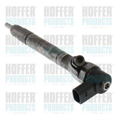 Injecteur HOFFER H74307R