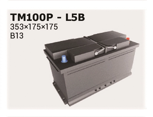 Batterie de démarrage IPSA TM100P