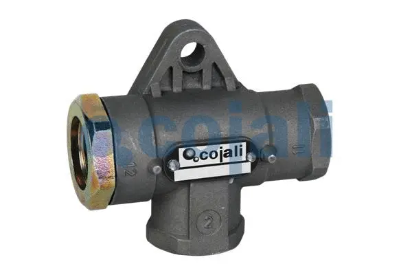 Valve à plusieurs voies COJALI 2207114