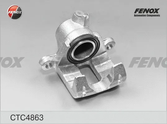 Jeu d'axes d'étriers de freins FENOX CTC4863