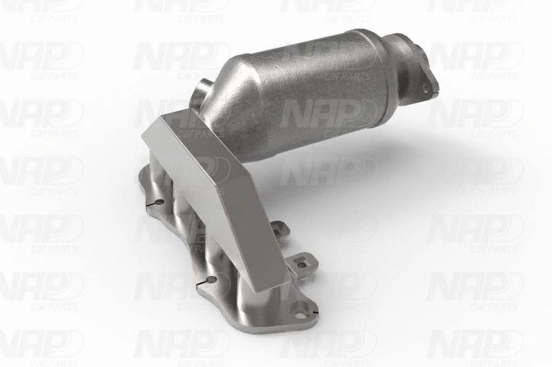 Catalyseur NAP carPARTS GmbH CAK10713