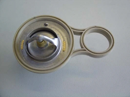 Thermostat, liquide de refroidissement BorgWarner (Wahler) 410263.91D