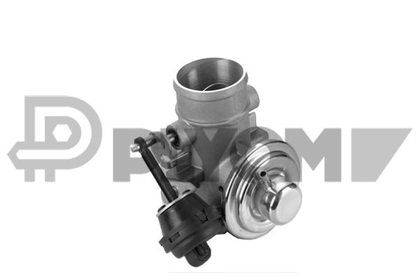 Vanne EGR PLYOM P770398