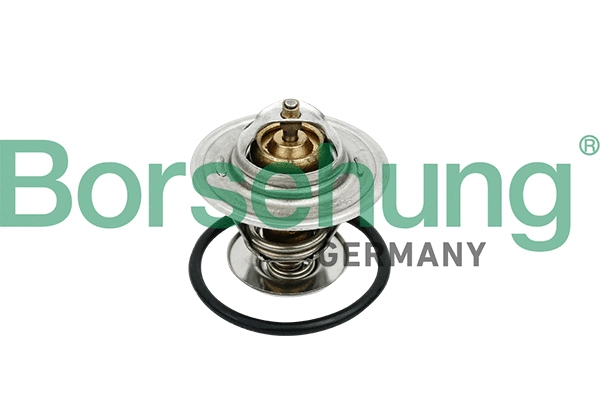 Thermostat, liquide de refroidissement Borsehung B18259